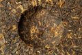 Cake of old Chinese Black tea Shu pu-erh or puer, traditional asian drink, macro, top view