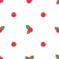 Raspberries. Colored Vector Patterns