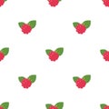 Raspberries. Colored Vector Patterns