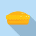 Cake pie icon flat vector. Sweet fruit Royalty Free Stock Photo
