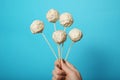 Cake pop candy, sweet dessert on stick