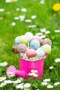 Cake Pops in a little watering can