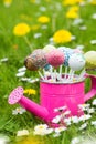 Cake pops in a little watering can