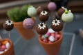 Cake pops