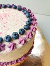 Cake with sponge cakes, white cream, decorated with blueberries Royalty Free Stock Photo