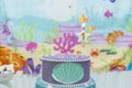 Cake table overview decorated with the seabed theme. Children`s party with octopus, seahorse, oysters, corals and colorful