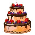 Cake vector illustration painted watercolor