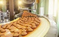 Cakes on automatic conveyor belt or line, process of baking in confectionery culinary factory or plant. Food industry