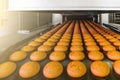 Cakes on automatic conveyor belt or line, process of baking in confectionery culinary factory or plant. Food industry