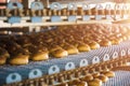 Cakes on automatic conveyor belt or line, process of baking in confectionery culinary factory or plant. Food industry Royalty Free Stock Photo