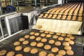 Cakes on automatic conveyor belt or line, process of baking in confectionery factory. Food industry, cookie production