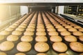 Cakes on automatic conveyor belt or line, process of baking in confectionery factory. Food industry, cookie production