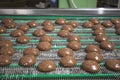 Cakes on automatic conveyor belt, process of baking in food factory, close up