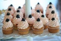 Cakes with berries and pink color Cream Royalty Free Stock Photo