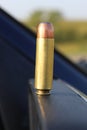 .50 cal ammo for handgun