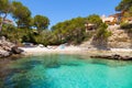 Cala Fornells View in Paguera, Majorca