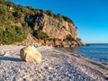 Cala fuili seaside rocky bay by cala gonone in sardegna Royalty Free Stock Photo