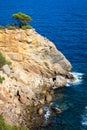 Cala Nova beach in Ibiza island in Balearic Mediterranean