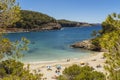 Cala Saladeta turquoise and transparent beach in Ibiza, Spai