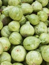 Calabacita Royalty Free Stock Photo