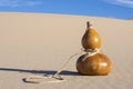 Calabash bottle gourd in desert sand dunes Royalty Free Stock Photo