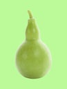 Calabash, Bottle Gourd fruit isolated on background Royalty Free Stock Photo