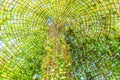 Calabash or Bottle gourd roof