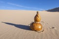 Calabash bottle gourd and shadow in desert Royalty Free Stock Photo
