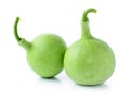 Calabash, Bottle Gourd vegetable Royalty Free Stock Photo