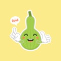 Calabash or Lagenaria siceraria , also known as bottle gourd cartoon character flat design illustration. cute and kawaii calabash