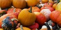 Calabasses and pumpkins are fruits that belong to autumn, to Halloween and to pumpkin soup