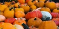 Calabasses and pumpkins are fruits that belong to autumn, to Halloween and to pumpkin soup