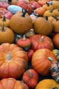 Calabasses and pumpkins are fruits that belong to autumn, to Halloween and to pumpkin soup