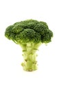 Calabrese broccoli Royalty Free Stock Photo