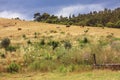 Calabria landscape