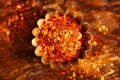 Calabrian Chilli Pepper flakes or Little Devil Royalty Free Stock Photo