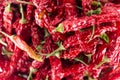 Calabrian dried red chillies for cooking Royalty Free Stock Photo