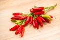 Calabrian hot pepper very hot chili Royalty Free Stock Photo