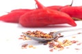 Calabrian pepper. Dry pepper. Royalty Free Stock Photo