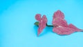 Caladium bicolor has red, green and white patterns. There are colorful patterns on the leaves which are beautiful