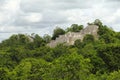 Mayan pyramids in Calakmul campeche mexico V