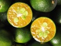 Calamansi Royalty Free Stock Photo