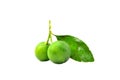 Calamansi Royalty Free Stock Photo