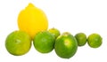 Calamansi, Lime and Lemon III Royalty Free Stock Photo