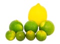 Calamansi, Lime and Lemon Royalty Free Stock Photo
