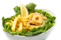 Calamari fried and potatoes Royalty Free Stock Photo