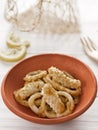 Calamari fritti Royalty Free Stock Photo