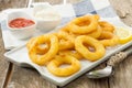 Calamari italian style Royalty Free Stock Photo