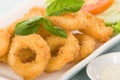 Calamari or onion ring Royalty Free Stock Photo