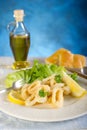 Calamari rings Royalty Free Stock Photo